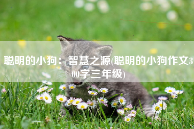聪明的小狗：智慧之源(聪明的小狗作文300字三年级)
