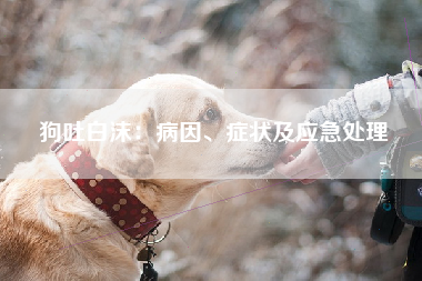狗吐白沫：病因、症状及应急处理