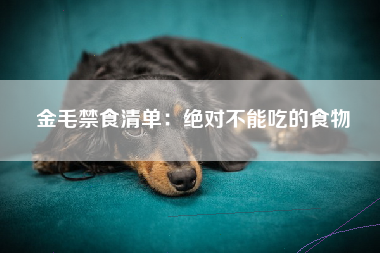 金毛禁食清单：绝对不能吃的食物