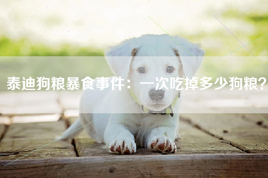 泰迪狗粮暴食事件：一次吃掉多少狗粮？