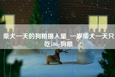 柴犬一天的狗粮摄入量_一岁柴犬一天只吃100g狗粮