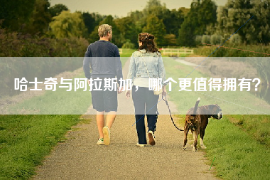 哈士奇与阿拉斯加，哪个更值得拥有？