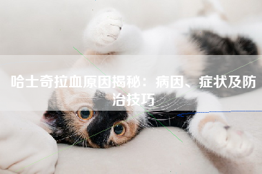 哈士奇拉血原因揭秘：病因、症状及防治技巧