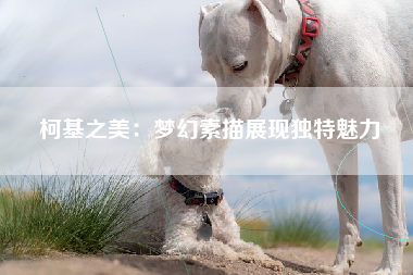 柯基之美：梦幻素描展现独特魅力