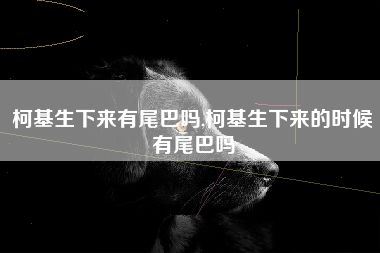 柯基生下来有尾巴吗,柯基生下来的时候有尾巴吗