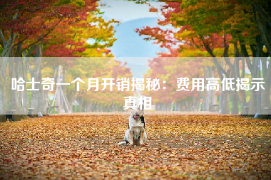 哈士奇一个月开销揭秘：费用高低揭示真相