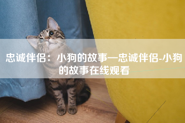 忠诚伴侣：小狗的故事—忠诚伴侣-小狗的故事在线观看