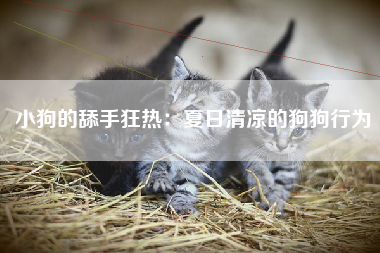 小狗的舔手狂热：夏日清凉的狗狗行为