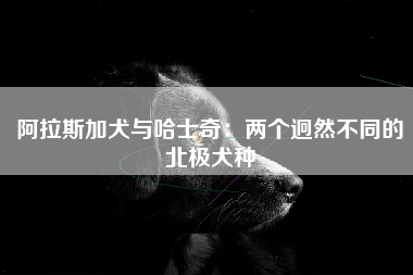 阿拉斯加犬与哈士奇：两个迥然不同的北极犬种