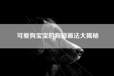 可爱狗宝宝的狗脚画法大揭秘