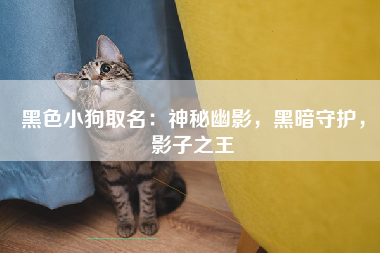 黑色小狗取名：神秘幽影，黑暗守护，影子之王
