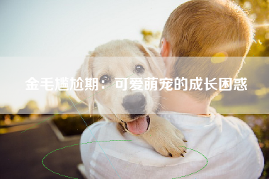 金毛尴尬期：可爱萌宠的成长困惑