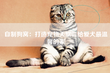 自制狗窝：打造宠物天堂，给爱犬最温馨的家