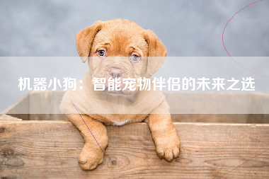 机器小狗：智能宠物伴侣的未来之选