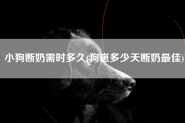 小狗断奶需时多久(狗崽多少天断奶最佳)
