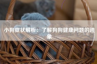 小狗症状解析：了解狗狗健康问题的迹象