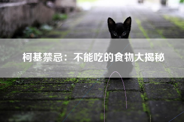 柯基禁忌：不能吃的食物大揭秘