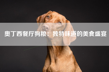 奥丁西餐厅狗粮：独特味道的美食盛宴