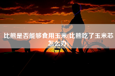 比熊是否能够食用玉米(比熊吃了玉米芯怎么办)
