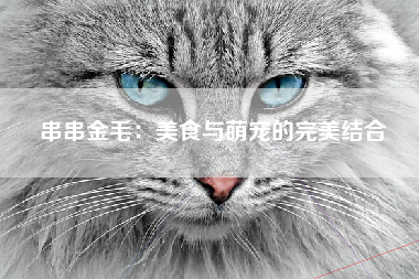 串串金毛：美食与萌宠的完美结合