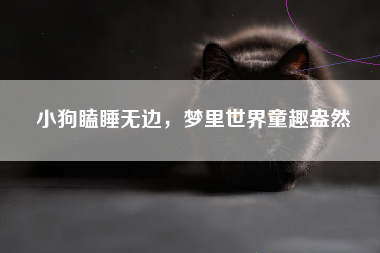 小狗瞌睡无边，梦里世界童趣盎然