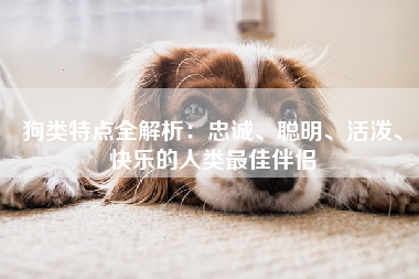 狗类特点全解析：忠诚、聪明、活泼、快乐的人类最佳伴侣