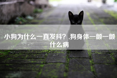 小狗为什么一直发抖？,狗身体一颤一颤什么病