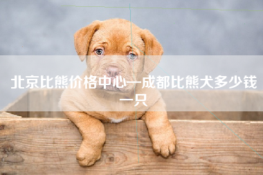 北京比熊价格中心—成都比熊犬多少钱一只