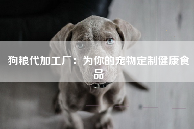 狗粮代加工厂：为你的宠物定制健康食品