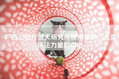 广西公安厅警犬研究所柳州基地：犬类执法力量的中心