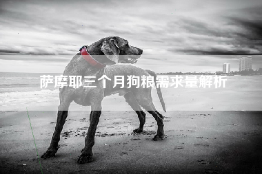 萨摩耶三个月狗粮需求量解析