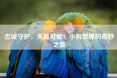 忠诚守护，天真可爱：小狗世界的奇妙之旅