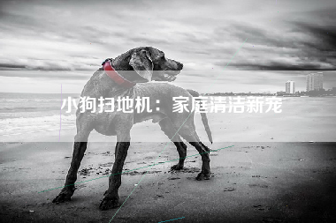 小狗扫地机：家庭清洁新宠