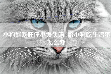 小狗能吃旺仔小馒头吗_给小狗吃生鸡蛋怎么办