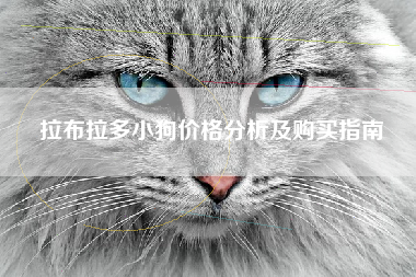 拉布拉多小狗价格分析及购买指南