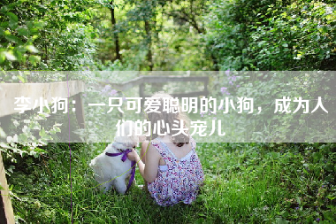 李小狗：一只可爱聪明的小狗，成为人们的心头宠儿