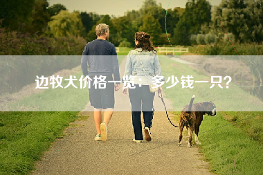 边牧犬价格一览：多少钱一只？