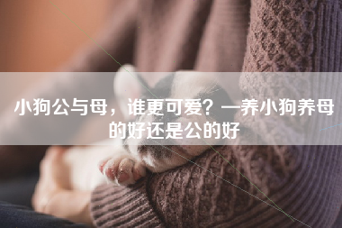 小狗公与母，谁更可爱？—养小狗养母的好还是公的好