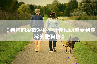 《狗狗的爱情短片，让你瞬间感受到纯粹的撒狗粮》