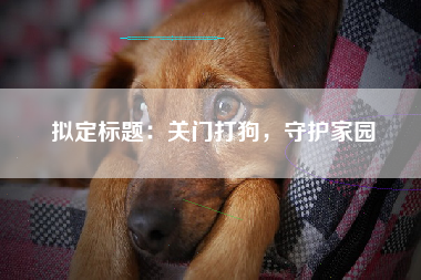 拟定标题：关门打狗，守护家园