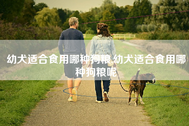 幼犬适合食用哪种狗粮,幼犬适合食用哪种狗粮呢