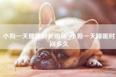 小狗一天睡眠时长揭秘_小狗一天睡眠时间多久