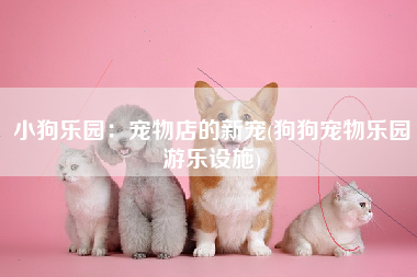 小狗乐园：宠物店的新宠(狗狗宠物乐园游乐设施)