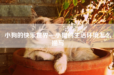 小狗的快乐世界—小狗的生活环境怎么描写