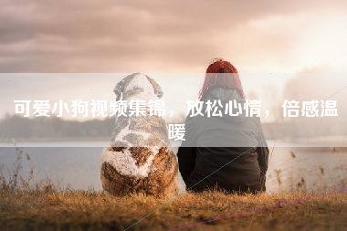 可爱小狗视频集锦，放松心情，倍感温暖