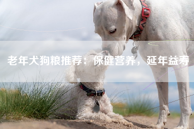 老年犬狗粮推荐：保健营养，延年益寿