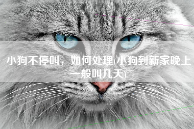小狗不停叫，如何处理(小狗到新家晚上一般叫几天)