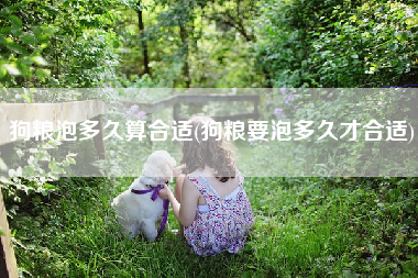 狗粮泡多久算合适(狗粮要泡多久才合适)