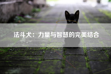 法斗犬：力量与智慧的完美结合